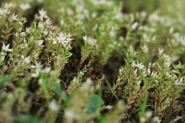 Similar image 22203955