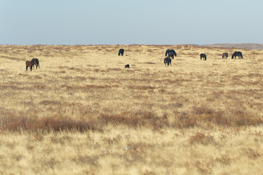 Similar image 22204521