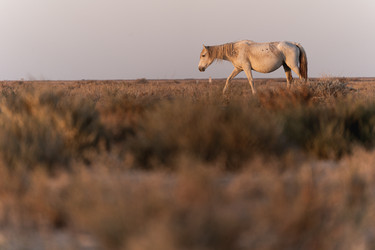 Similar image 22204522