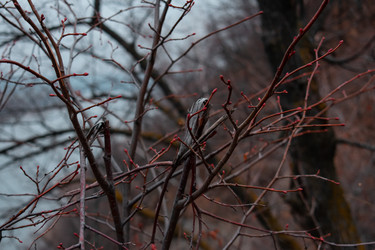 Similar image 22203174