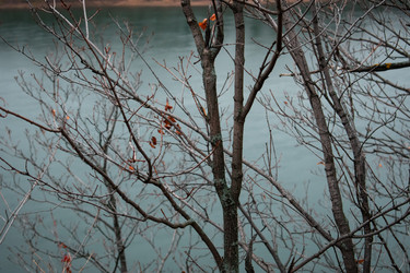 Similar image 22203175