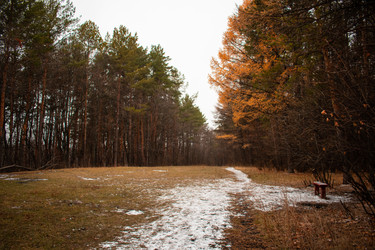 Similar image 22203176