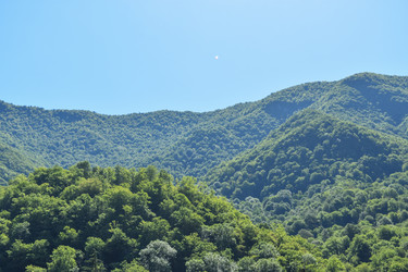 Similar image 22203181