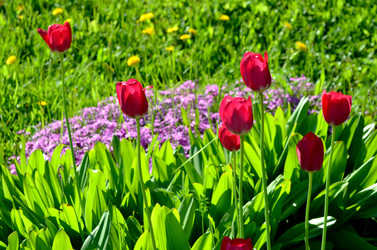 Similar image 22204961