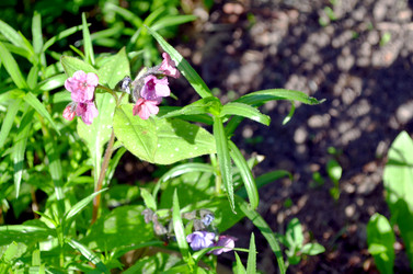 Similar image 22204962