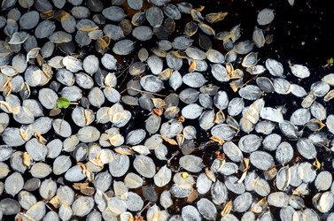 Similar image 22204963