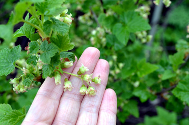 Similar image 22204965