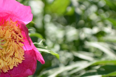 Similar image 22204966