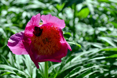 Similar image 22204968