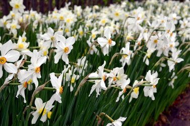 Similar image 22204970