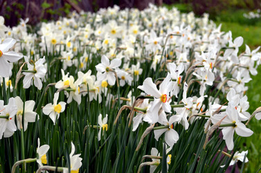 Similar image 22204971