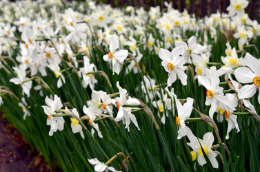 Similar image 22204972