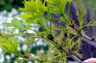 Similar image 22204973