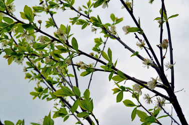 Similar image 22204974