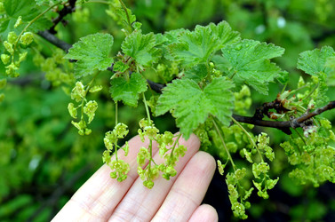 Similar image 22204975