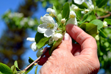 Similar image 22204977