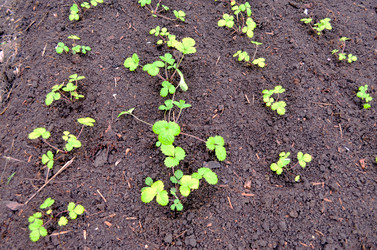 Similar image 22204979