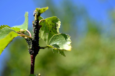 Similar image 22204980