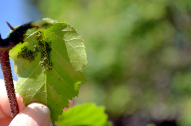 Similar image 22204981