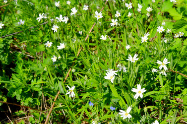 Similar image 22204983