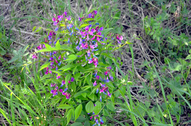 Similar image 22204984