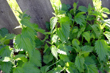 Similar image 22204985