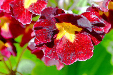 Similar image 22204990