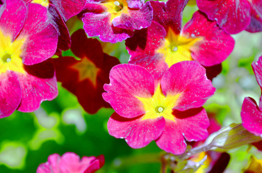 Similar image 22204991