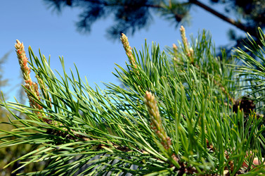 Similar image 22204992