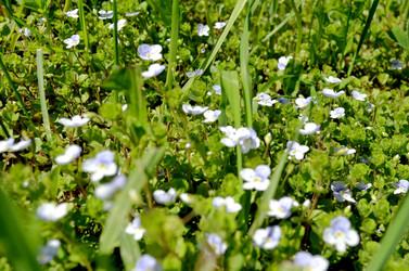 Similar image 22204993