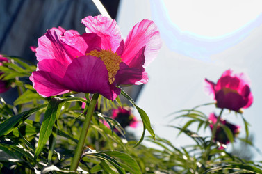 Similar image 22204994