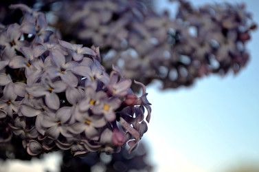 Similar image 22204995