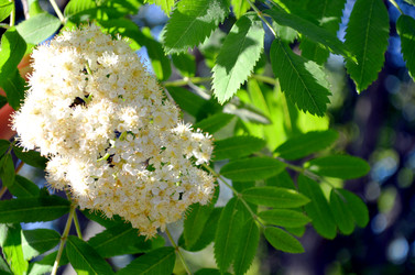 Similar image 22205249