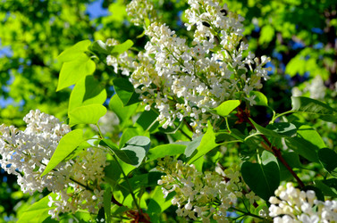 Similar image 22205250