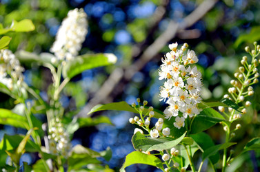 Similar image 22205251