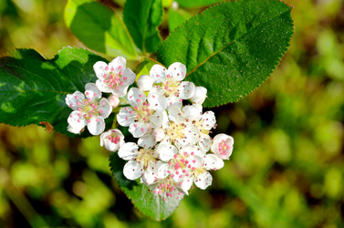 Similar image 22205253