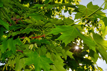 Similar image 22205254