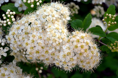 Similar image 22205255