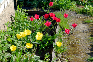 Similar image 22205258