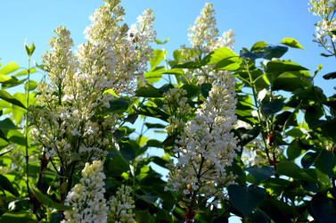 Similar image 22205259