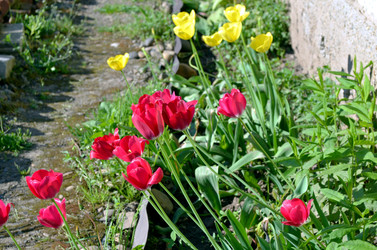 Similar image 22205260