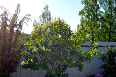 Similar image 22205261