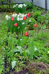 Similar image 22205262