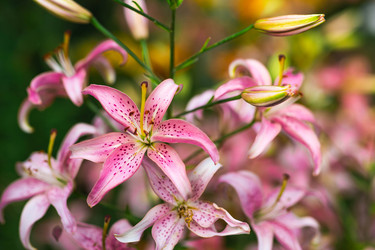 Similar image 22205311