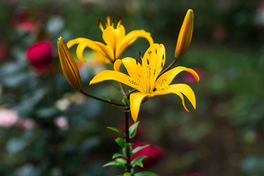 Similar image 22205313