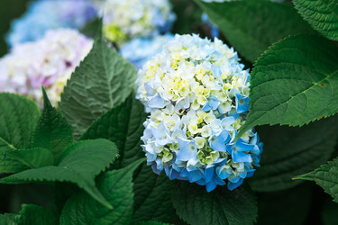 Similar image 22205314