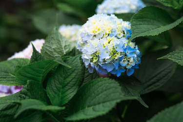 Similar image 22205315