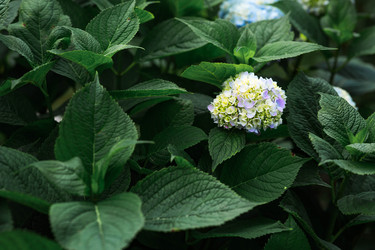 Similar image 22205316