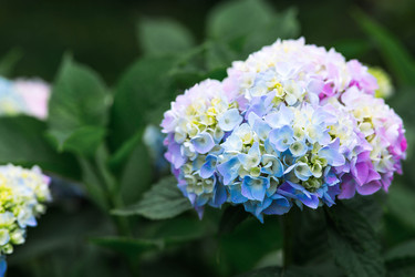 Similar image 22205409