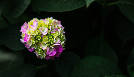 Similar image 22205410